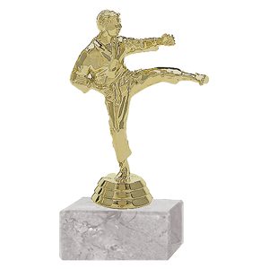 Trofeo Plástico Karate Masculino