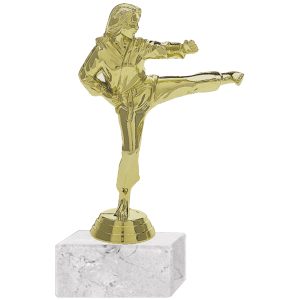 Trofeo Plástico Karate Femenino 2