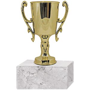 Trofeo Plástico Copa Chica  2